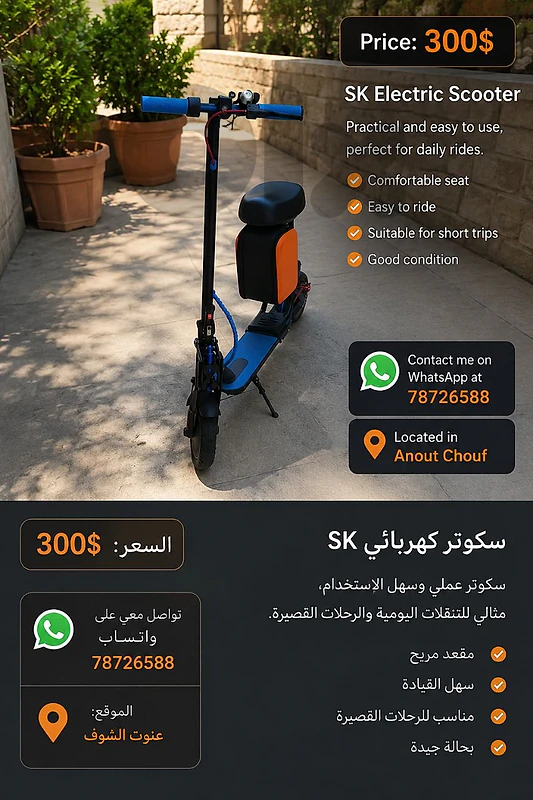 sk electric scooter