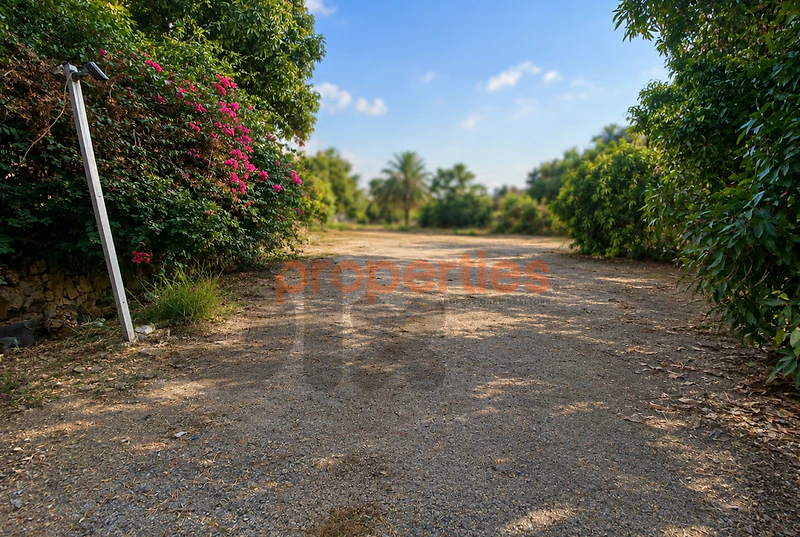 Land For Rent in Zalka – CPFY319 أرض للإيجار في الزلقا