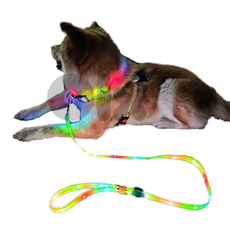 Illuminating Leash & Collar Set