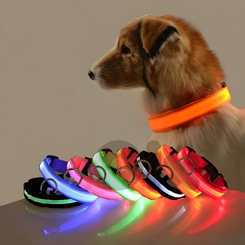 USB Rechargeable LED Collar