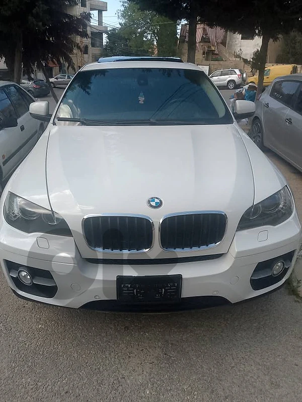 Bmw x6 2010