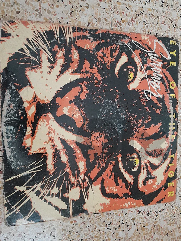 vinyl