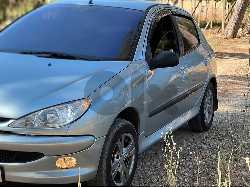 peugot 206 2004