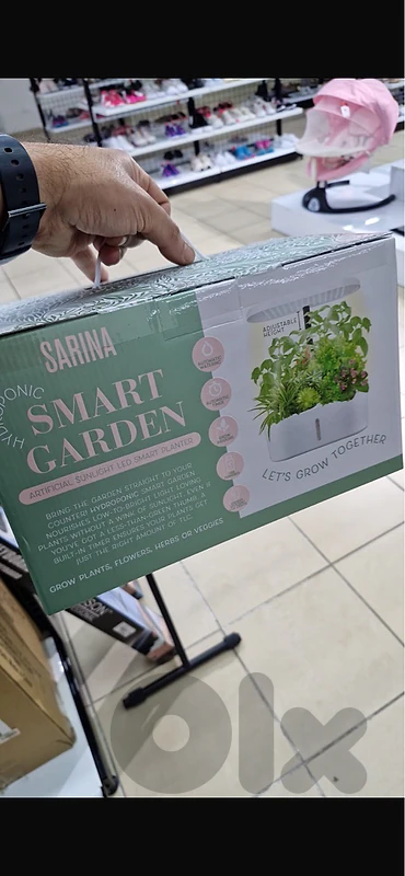 mini Hydroponic Setup