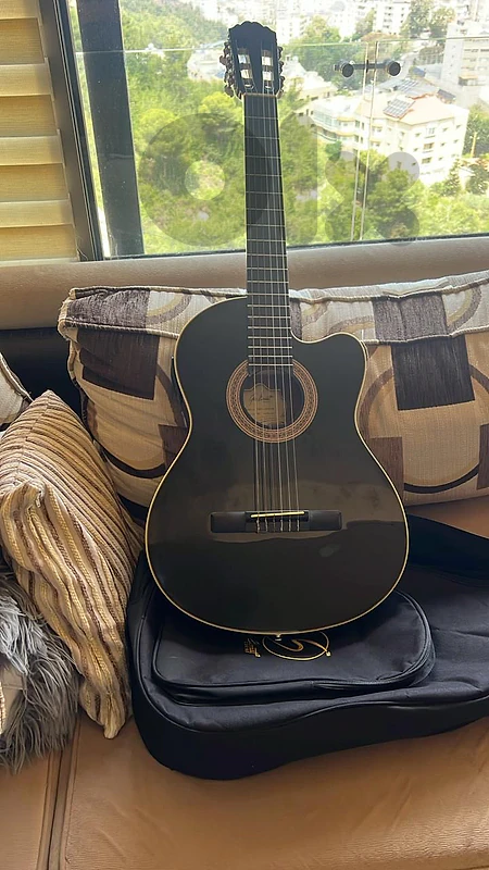 Greg Bennet Classic guitar