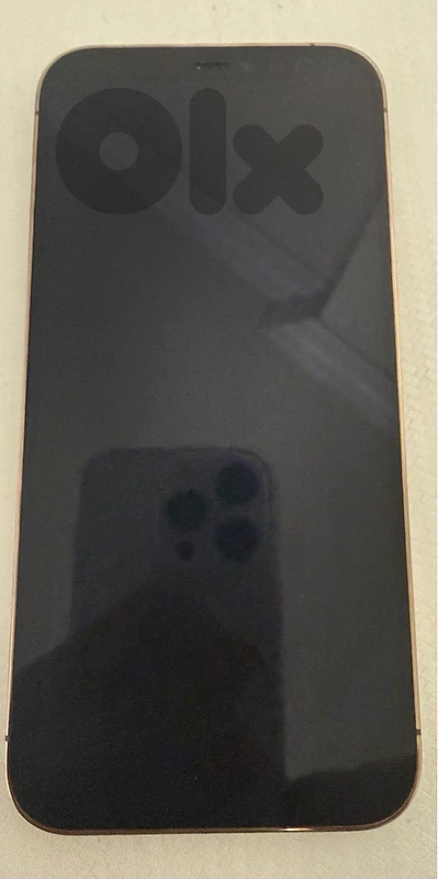 iphone 12 pro used