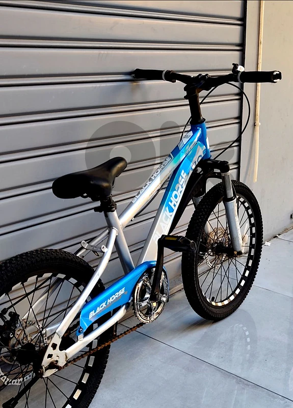 black horse bicycle 20