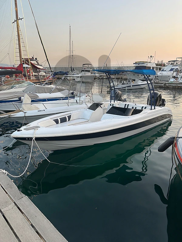 Riviera 150hp 4stroke 2023 engine