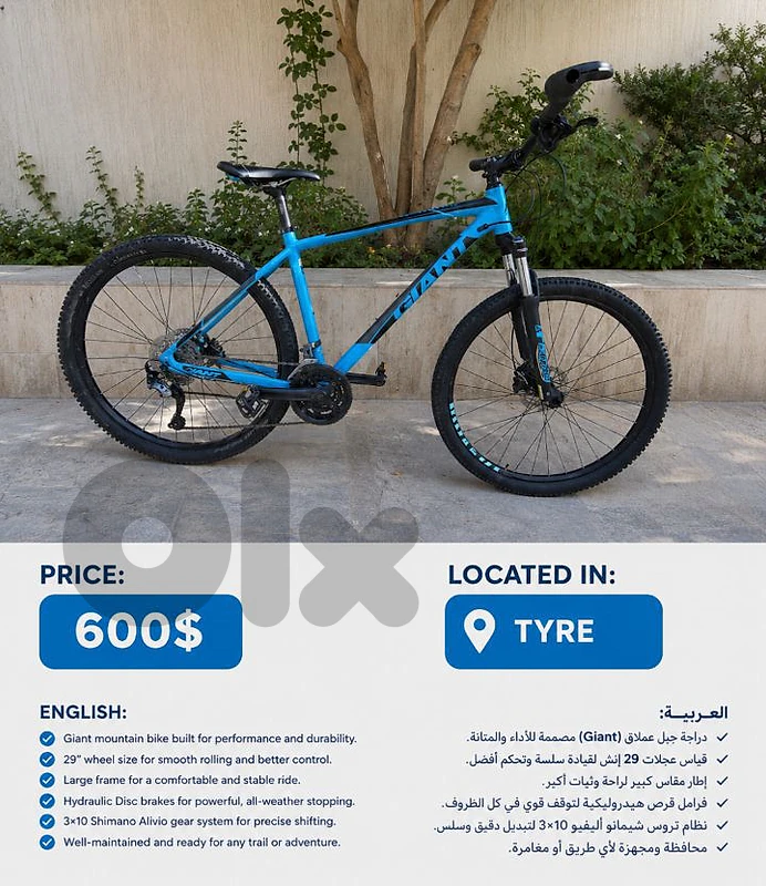 mountain bike