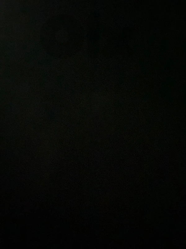03046077