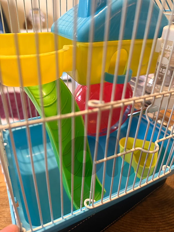 hamster cage