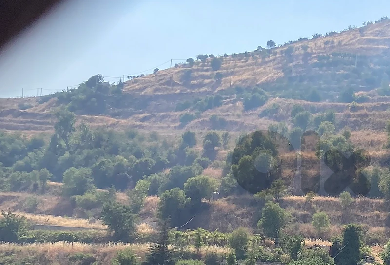 9000+ sqm land in Zahle/Wadi el Arayech for sale (only private buyer)