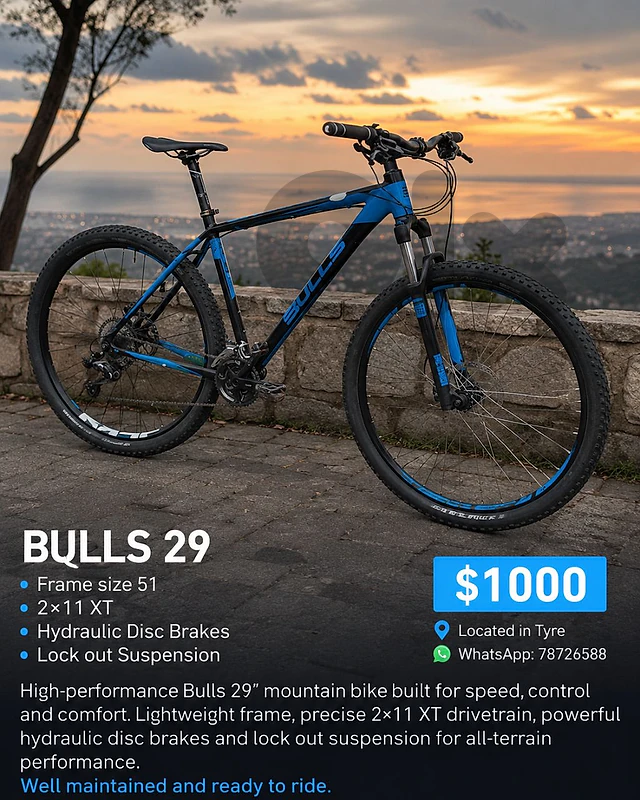 bulls