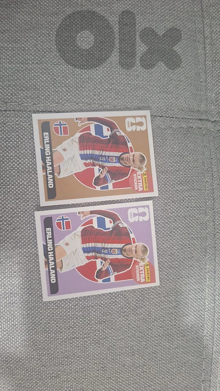 panini extra sticker