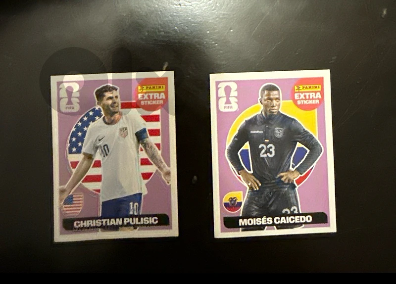 panini extra sticker