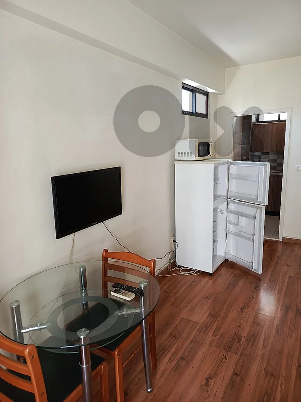 Fully Furnished Apartments For Rent