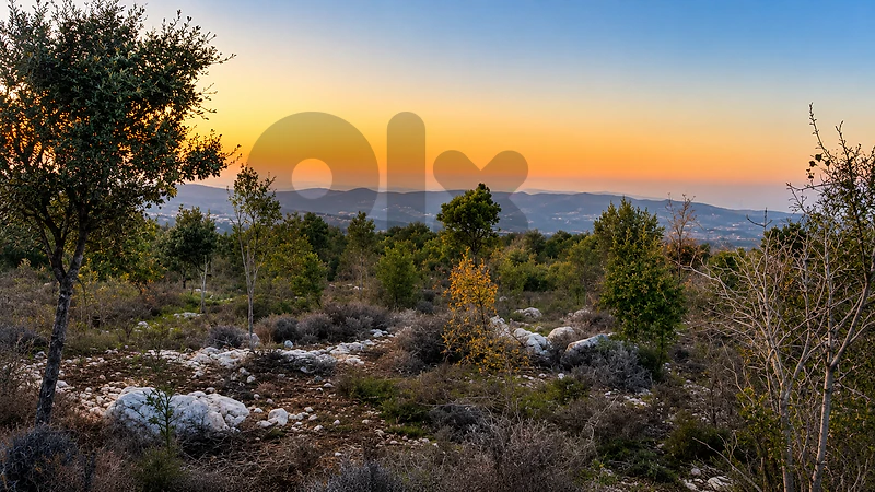 Land for Sale in Chabtine, Batroun أرض للبيع في شبطين، البترون