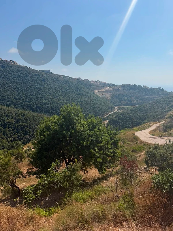 FOR SALE  Two Prime Land Plots in Edde, Byblos