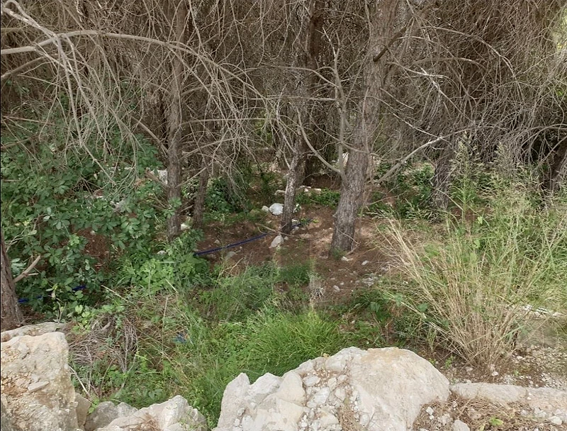 1500m2 Land for sale in Cornet Chehwan