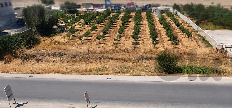 Land for Sale in Anjar Highwayأرض للبيع على أوتوستراد عنجر