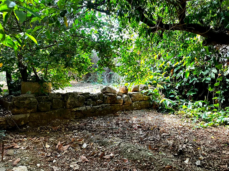 Traditional House for sale in Batroun/Garden/ Prime Location Traditional House for sale in Batroun/Garden/ Prime Location