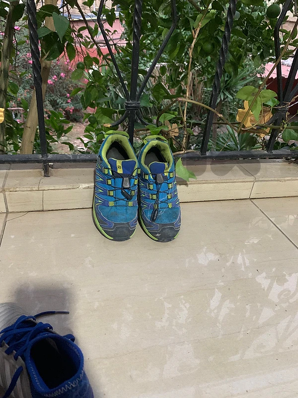shoes
