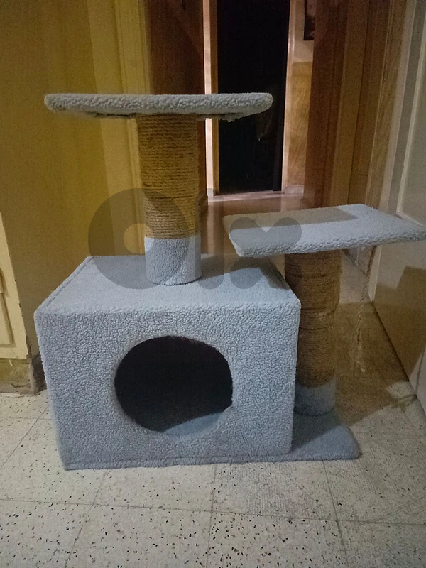 cat's house cat's house