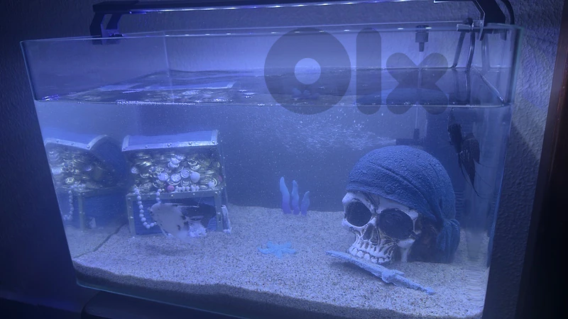 aquarium