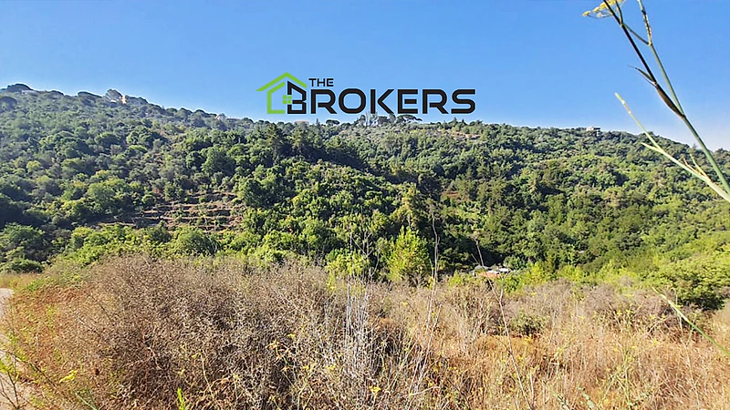 Land for Sale in Debbieh ارض للبيع في الدبية