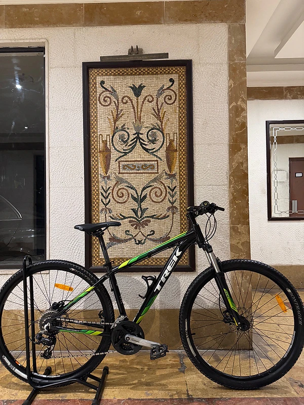 Trek 29