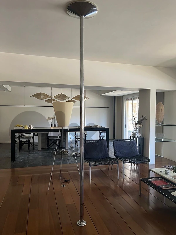 Dance Pole