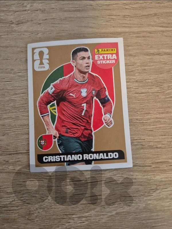 panini extra sticker