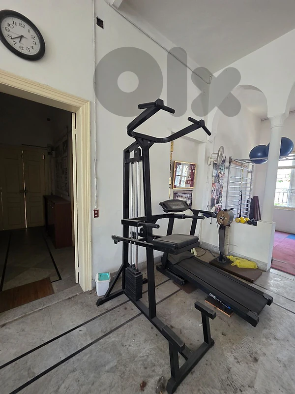 Gym equipment all for a very gd price 03 027072 GEO SPORT