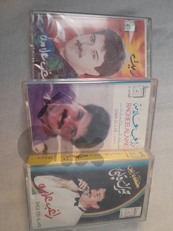 راغب علامة