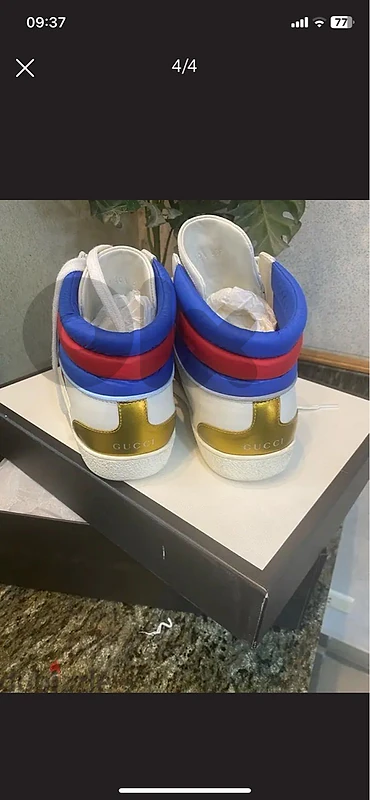 gucci