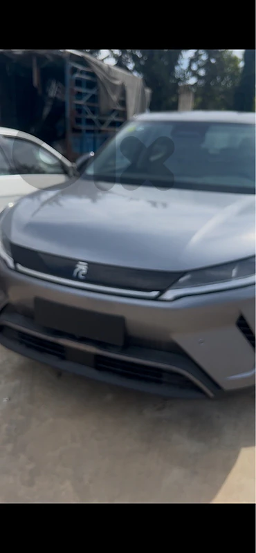 BYD Other 2025