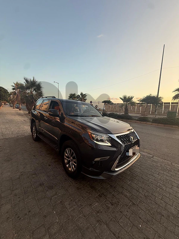 Lexus GX-Series 2015 460