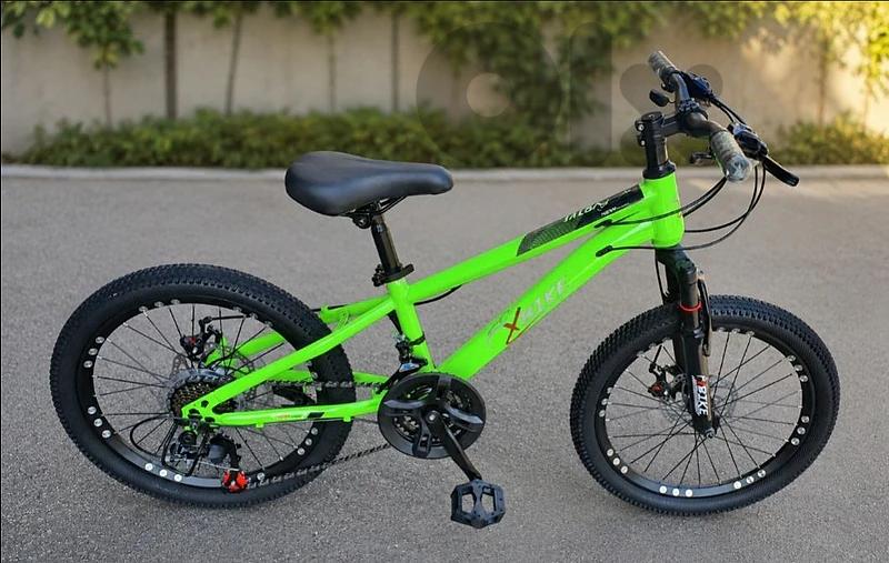 XBike 20" disc brakes & Vitesse 21 speed (brand new)