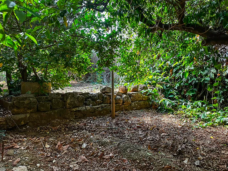 Batroun Traditional House - بيت تراثي في البترون