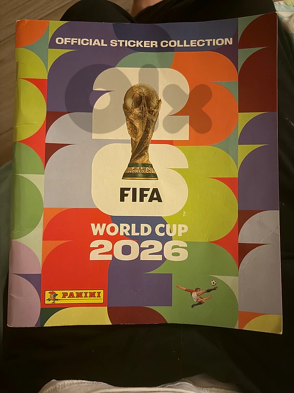 panini book
