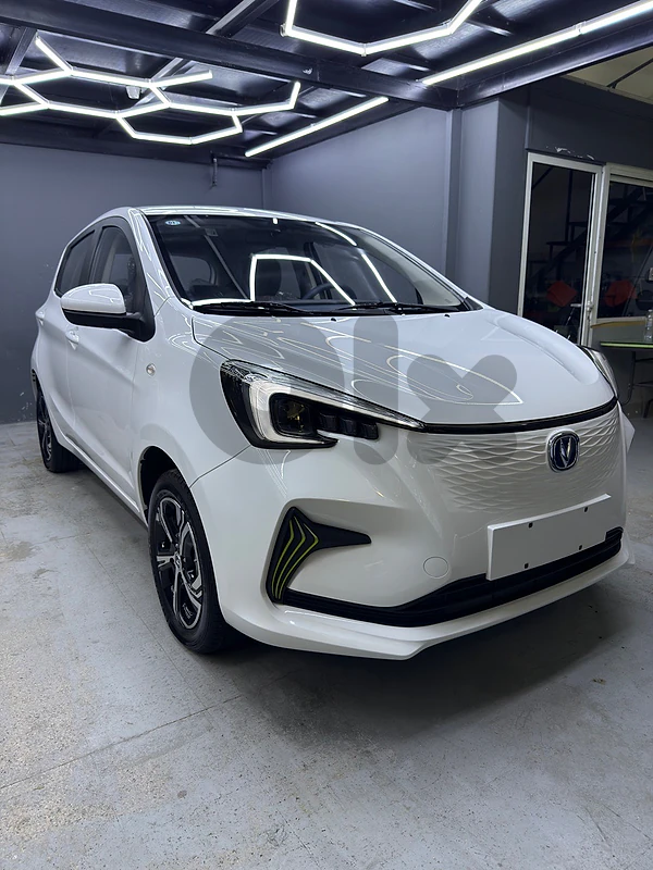 Changan BenBen/ BenBen EV 2024 e-star