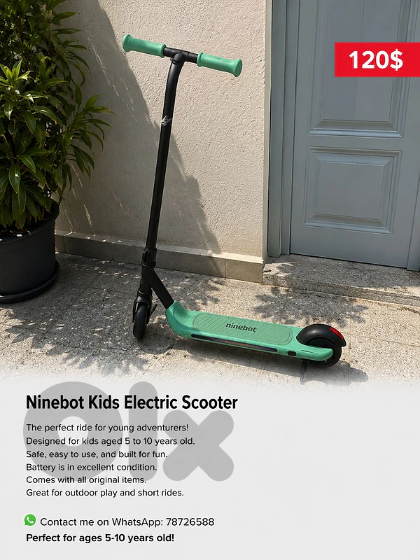 electric scooter