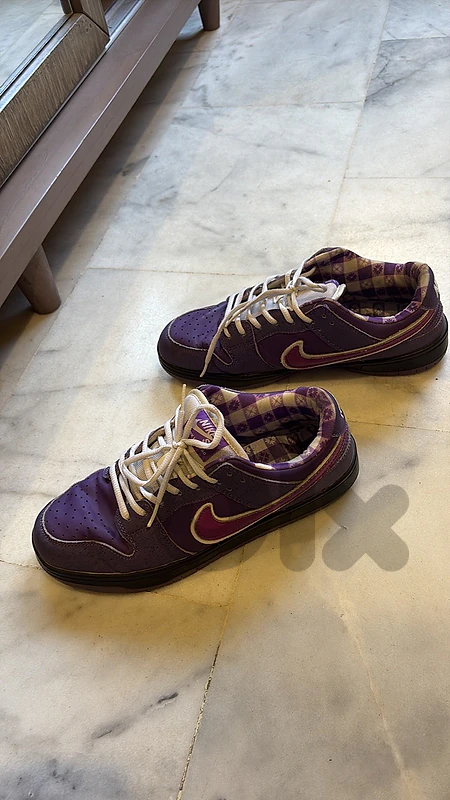 Concepts x Nike SB (Streetwear / Sneakers) “purple lobster”