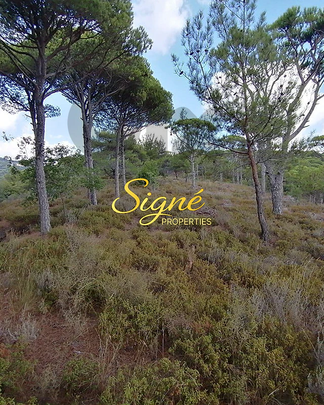 Land for Sale – Jezzine – SGMJ180