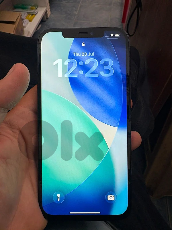 iphone 12 pro max  256gb