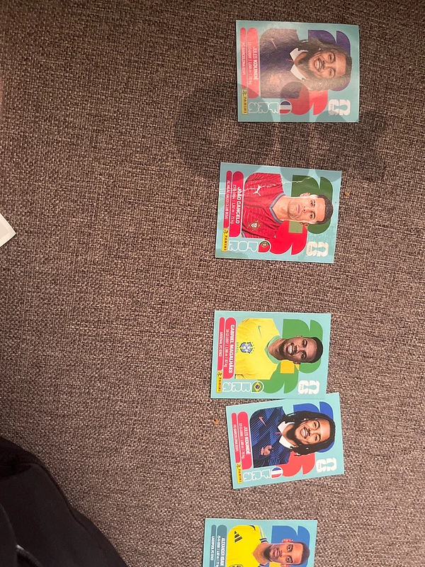 panini