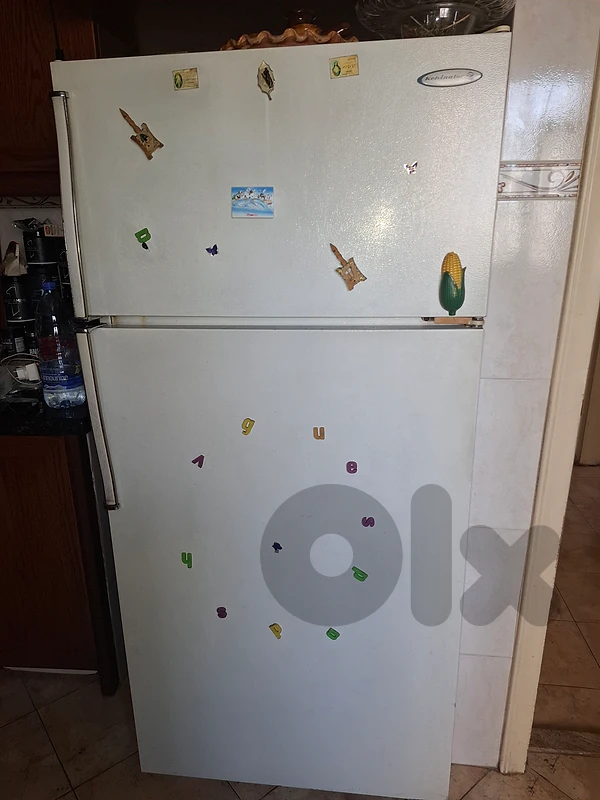 Kelvinator freezer & fridge