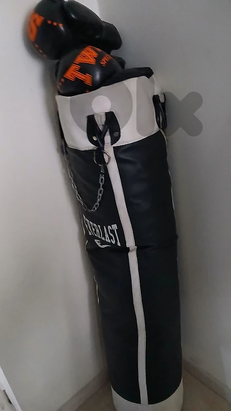 Everlast boxing bag + gloves 14 oz