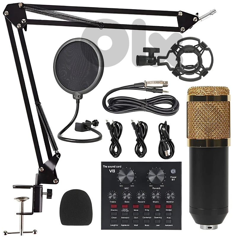 BM 800 MICROPHONE USED LIKE NEW