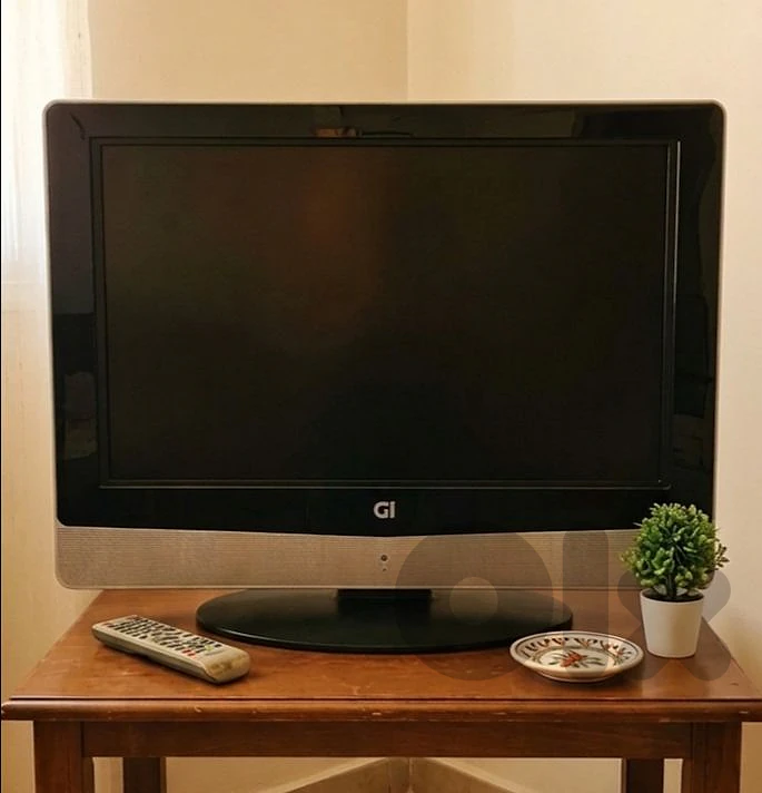 GI 22" LCD TV / Monitor with Built-In DVD Player – Working Great